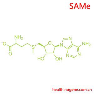 S-adenosyl-L-methionine