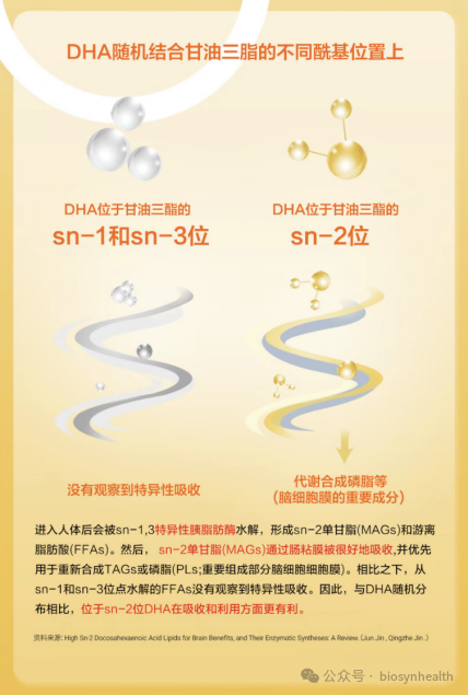 High-End DHA Formula Breaks Sn-2 DHA