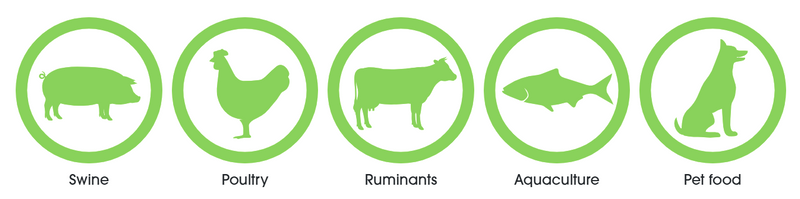 DHA Algal Oil Feed Grade Target Animals DHA Algal Oil Feed Grade Target Animals