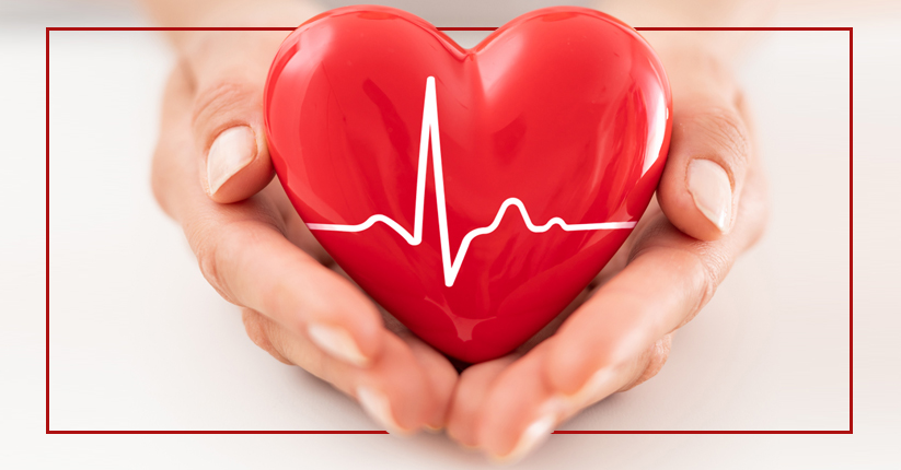 NMN Bulk Supplement Cardiovascular Health Support NMN Bulk Supplement Cardiovascular Health Support